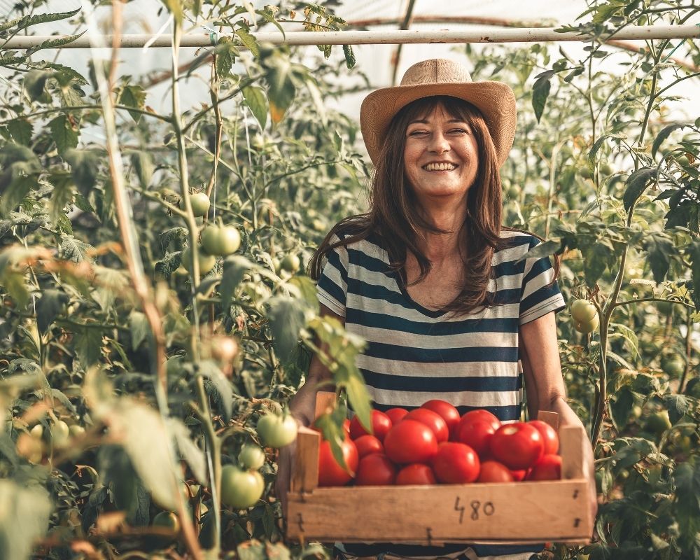immagine agricoltura