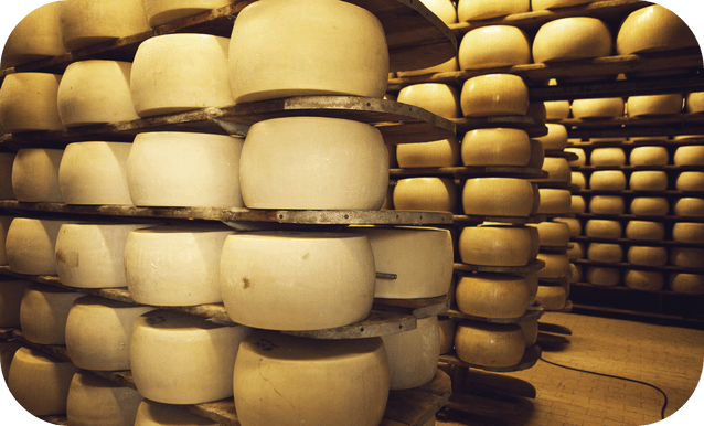 forme di parmigiano reggiano